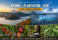 Bromo Ijen Tour 4D3N with coffee, cocoa, rubber and spice plantation from Malang or Surabaya